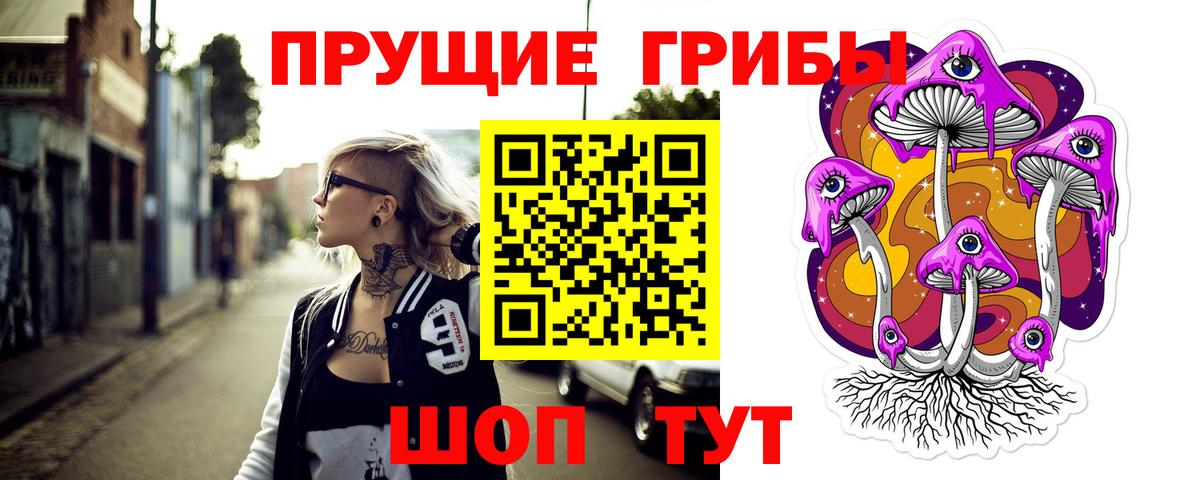Мурино  Псилоцибиновые грибы Cubensis  Вход с VPN 