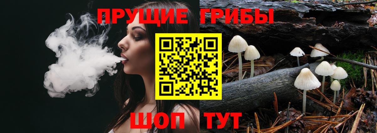 Галлюциногенные грибы MAGIC MUSHROOMS Мурино